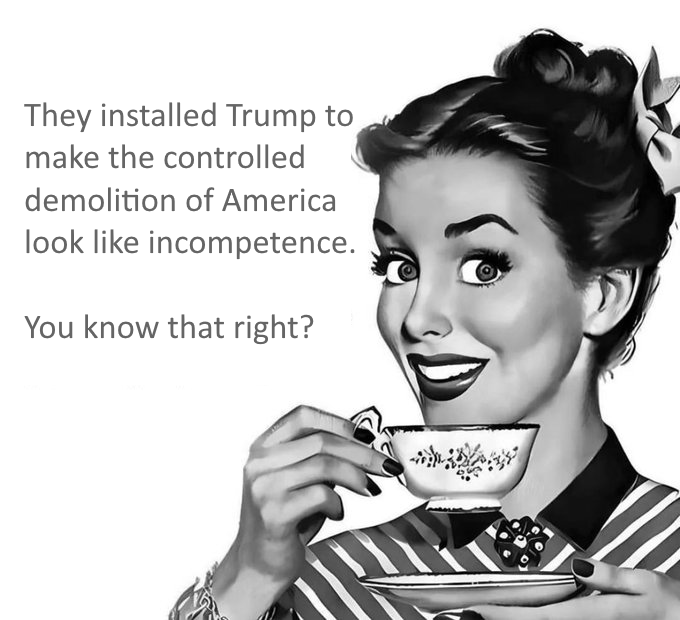 They installed Trump to make the controlled demolition of America look like incompetence...you know that right?