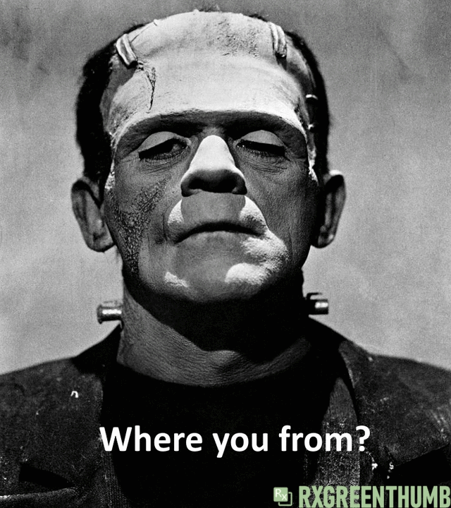frankenstein-hr-animated-rxgt2